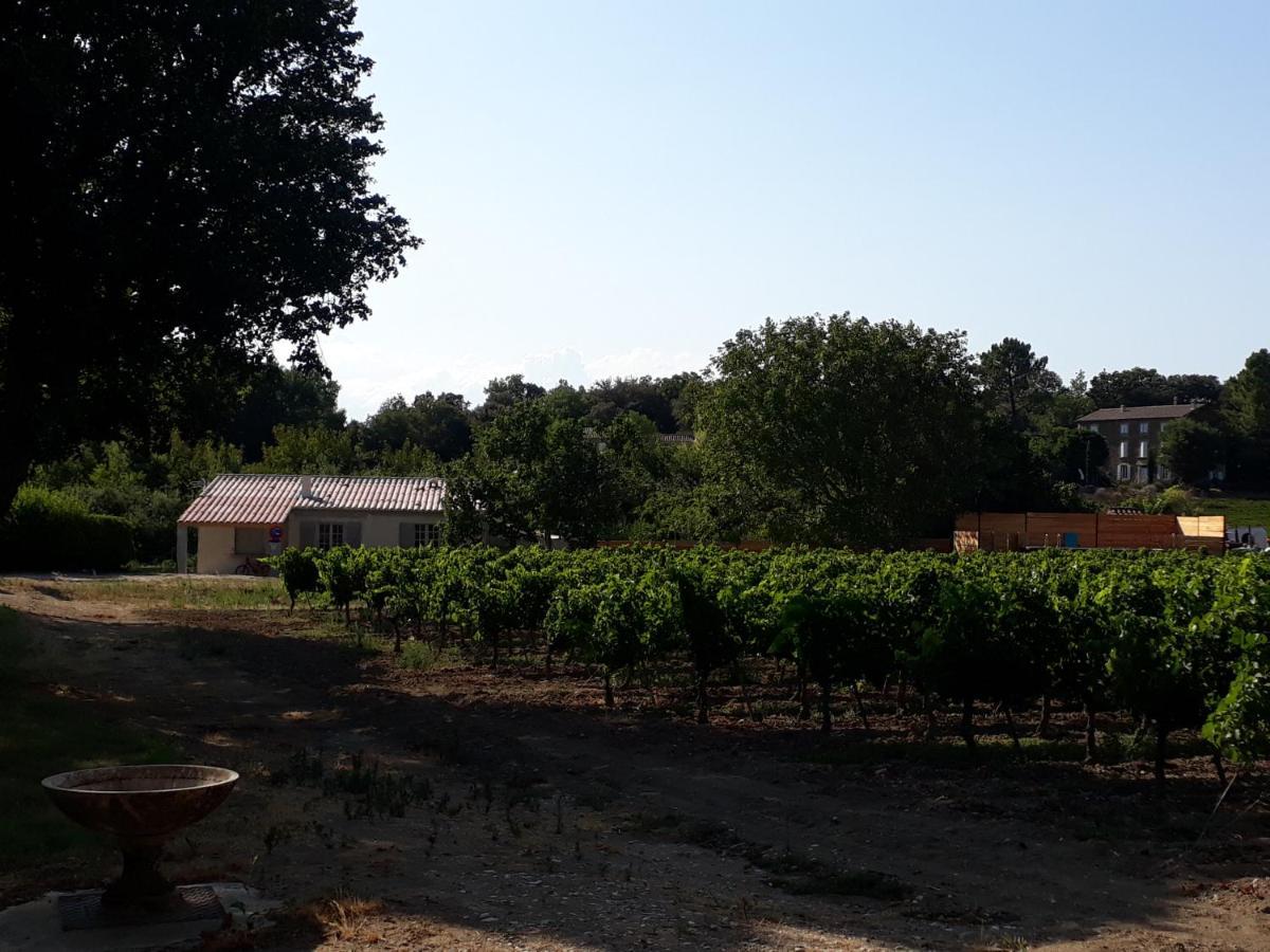La Petite Maison Dans Les Vignes Chamaret Luaran gambar