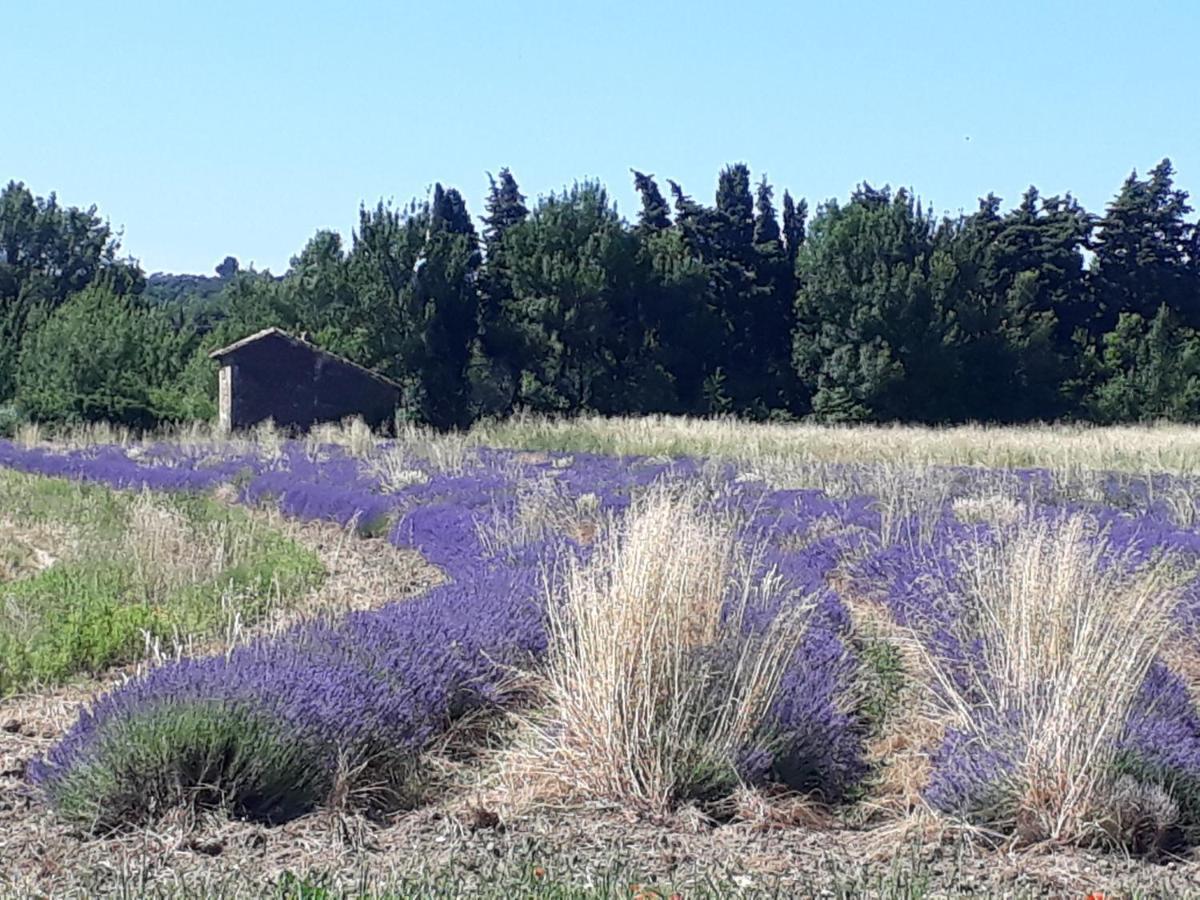 La Petite Maison Dans Les Vignes Chamaret Luaran gambar